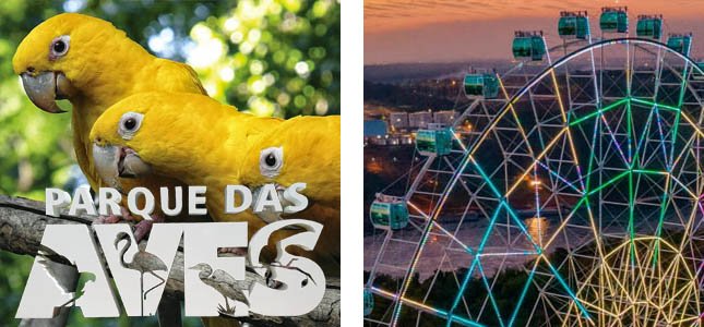 Parque das Aves y Rueda Gigante